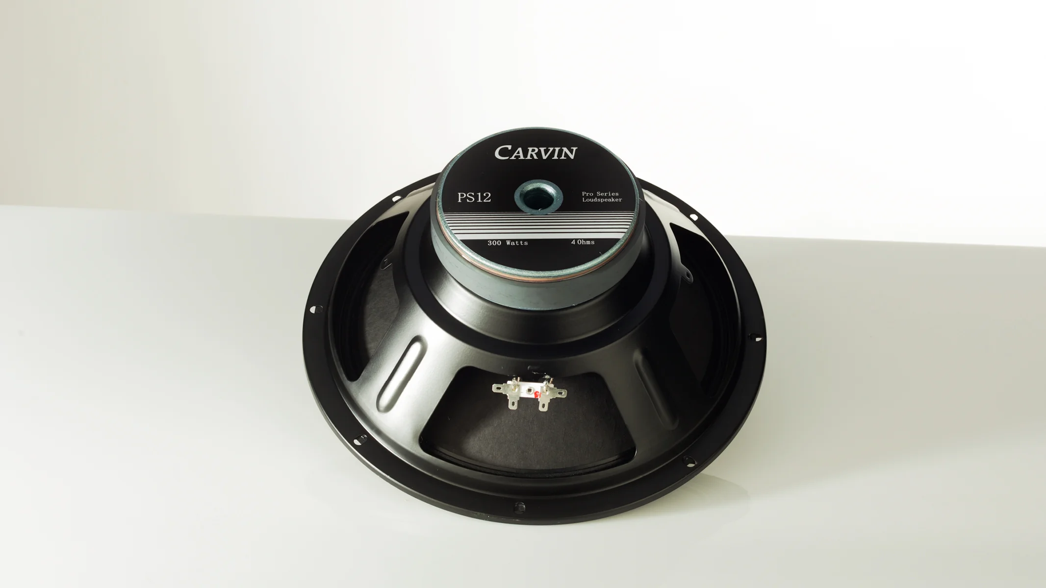 PS12-4 250W 12 Inch Speaker