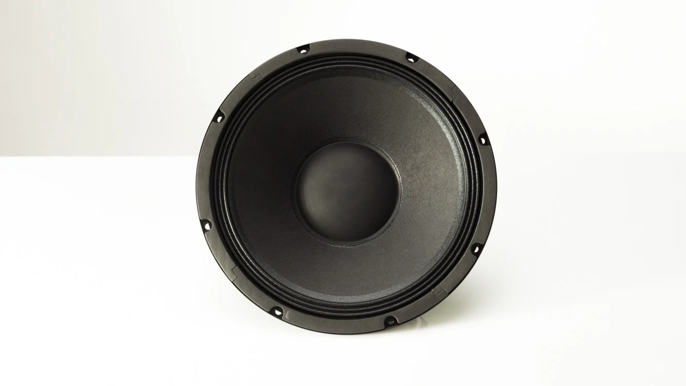 PS12-4 250W 12 Inch Speaker - Image 2